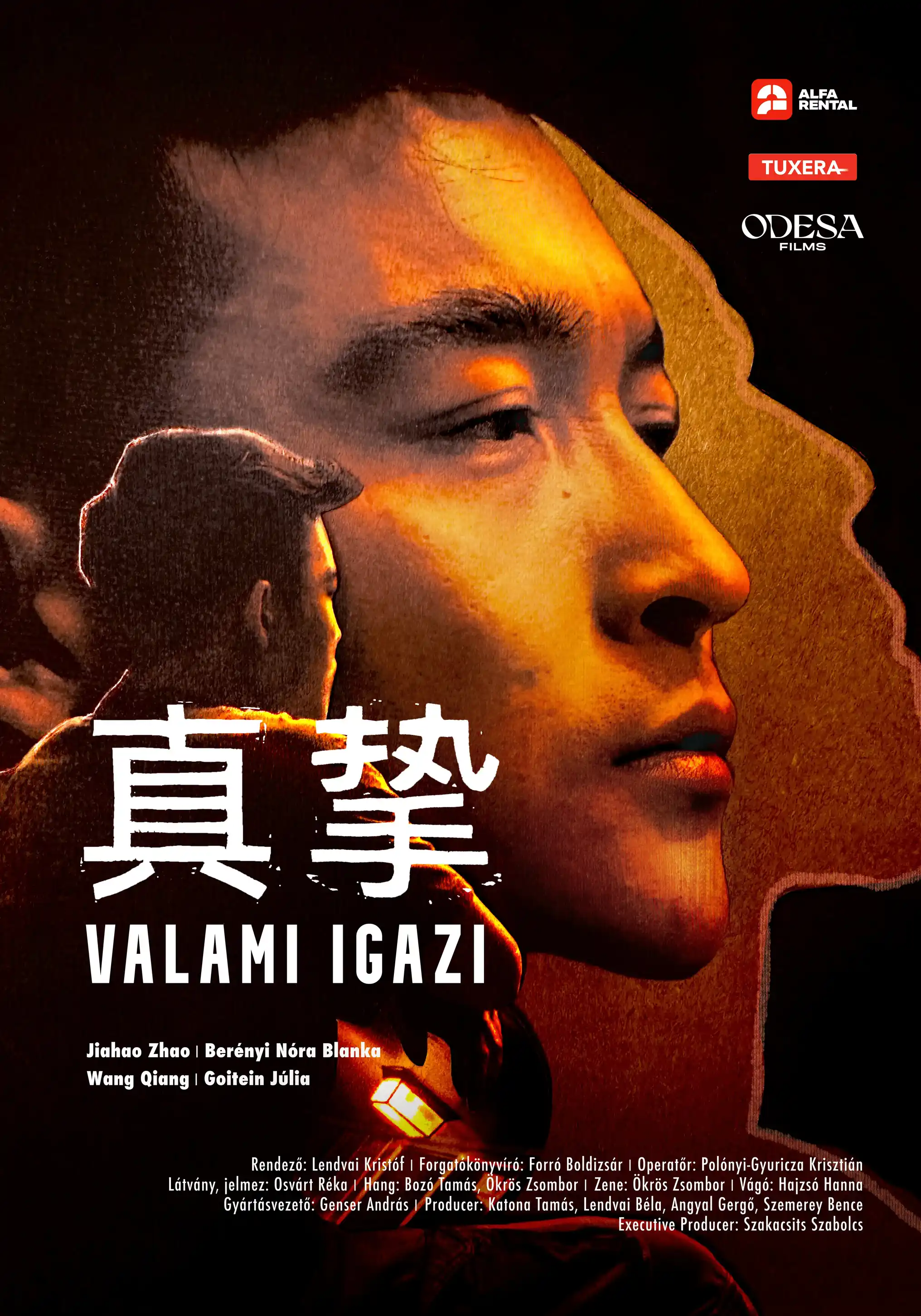 A Valami igazi című film plakátja