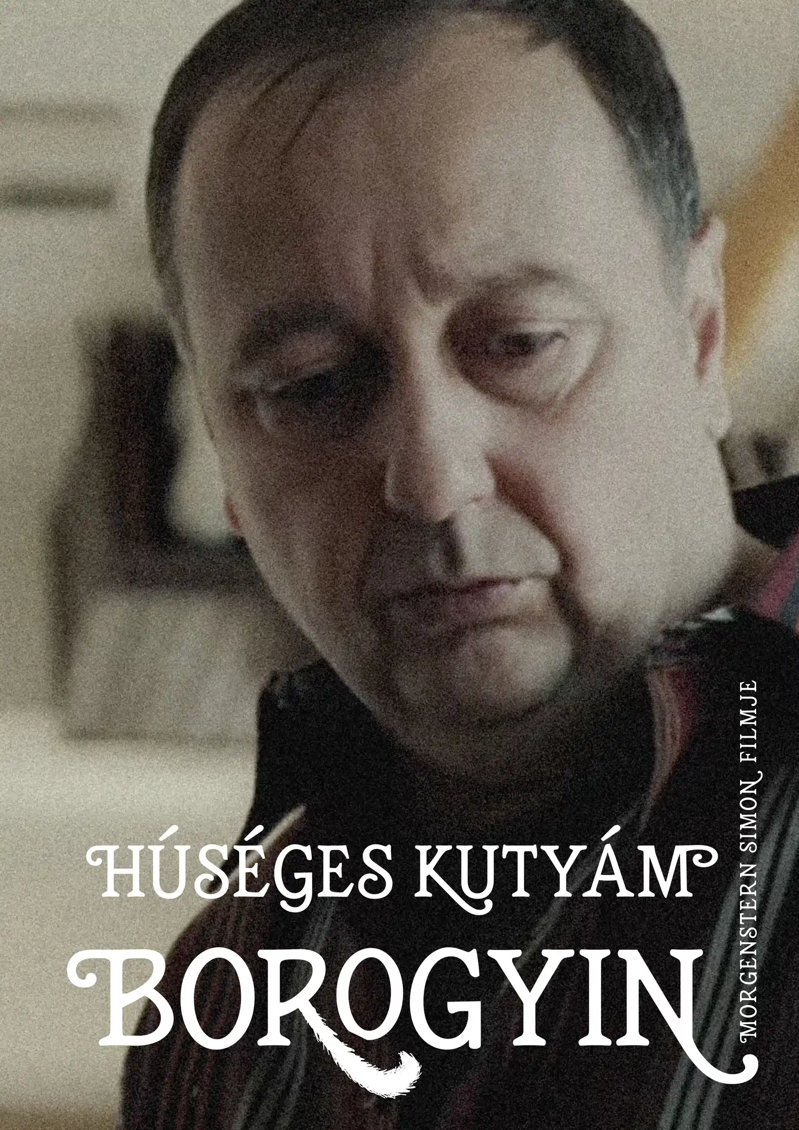 A Hűséges kutyám Borogyin című film plakátja