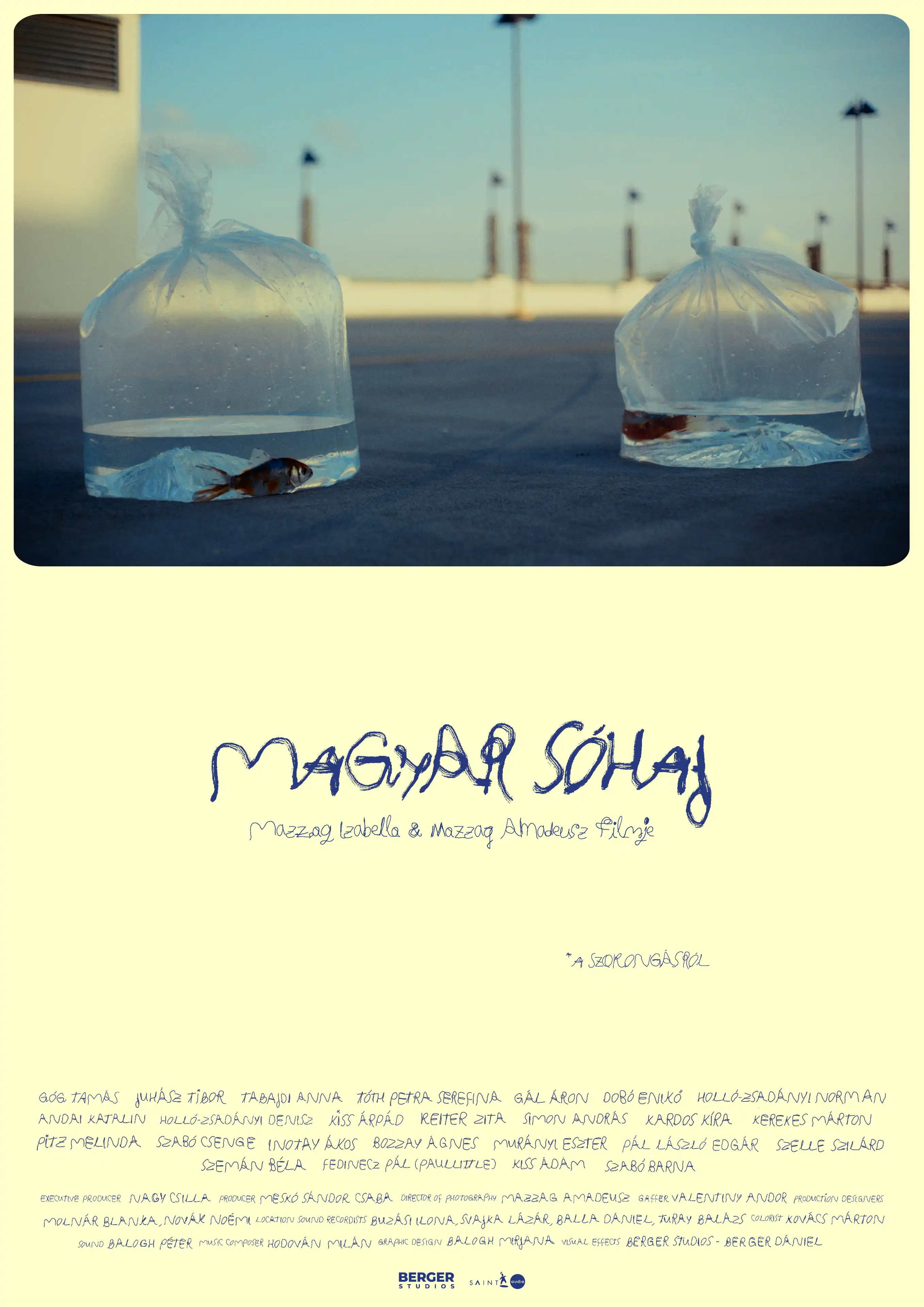 A Magyar sóhaj című film plakátja