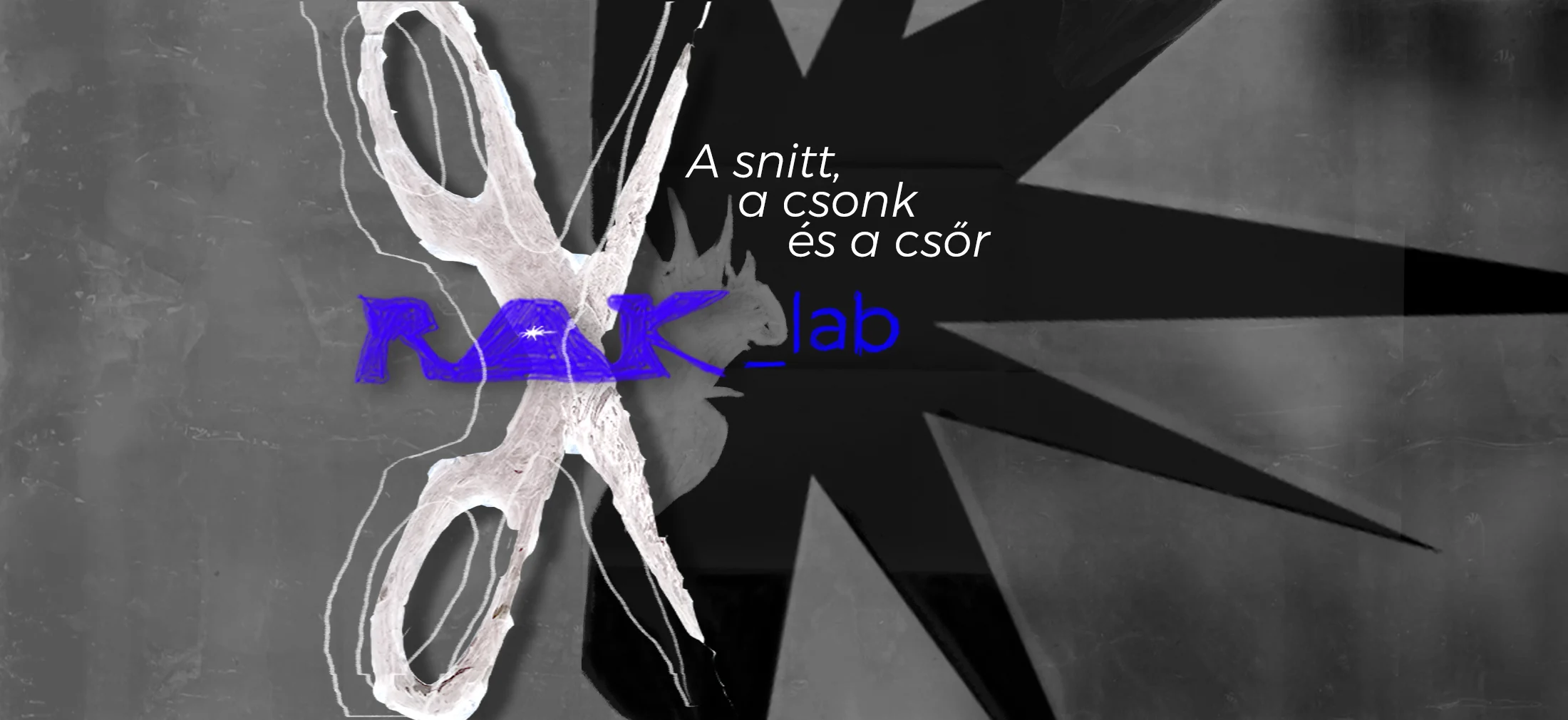 RAK Lab – A snitt, a csonk és a csőr című kiállítás kollázsa