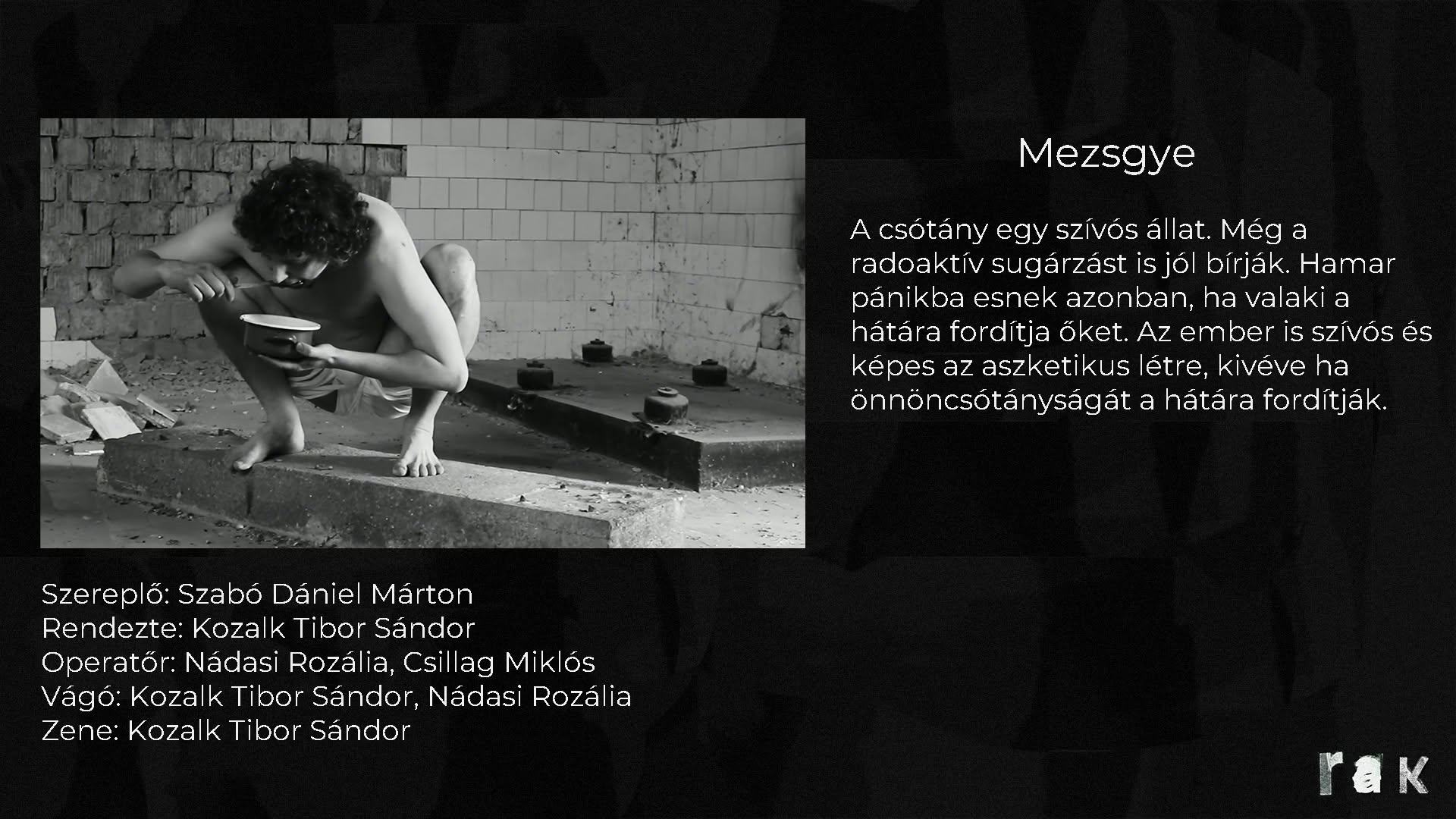 Mezsgye