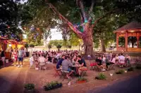 A Radó Matiné parkos, fákkal szegélyezett tere.